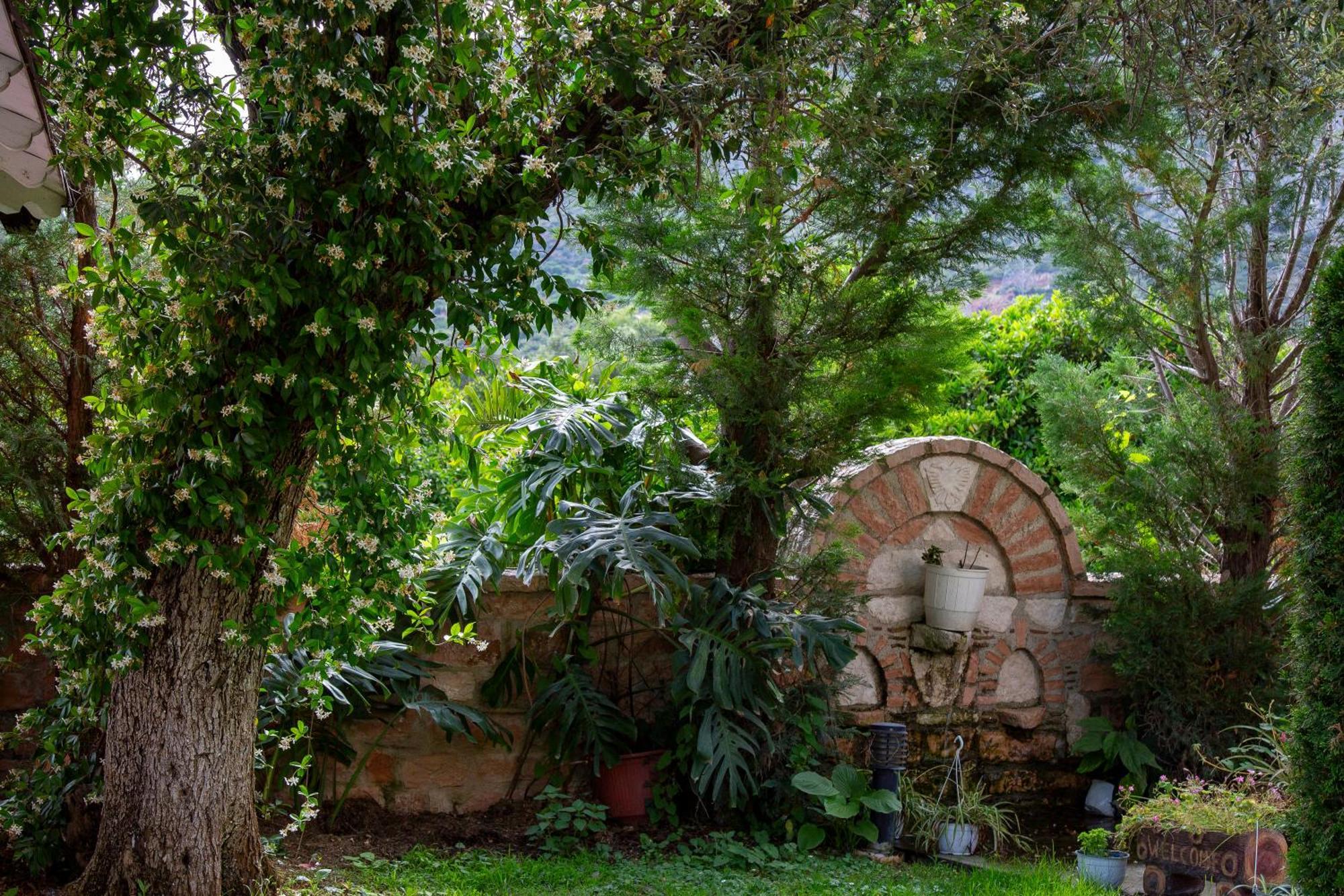 Vila Florika Hotel Borsh Exterior photo